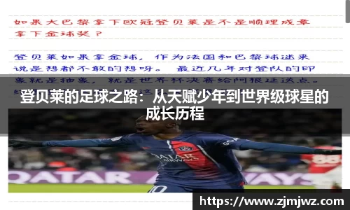 星空·综合体育官方网站