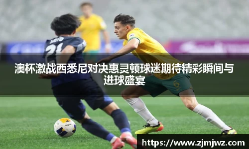 澳杯激战西悉尼对决惠灵顿球迷期待精彩瞬间与进球盛宴