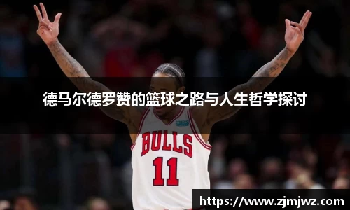 星空·综合体育官方网站